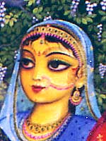 visaka.jpg - 12357 Bytes