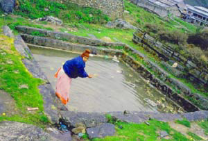 kedernath6.jpg - 55616 Bytes