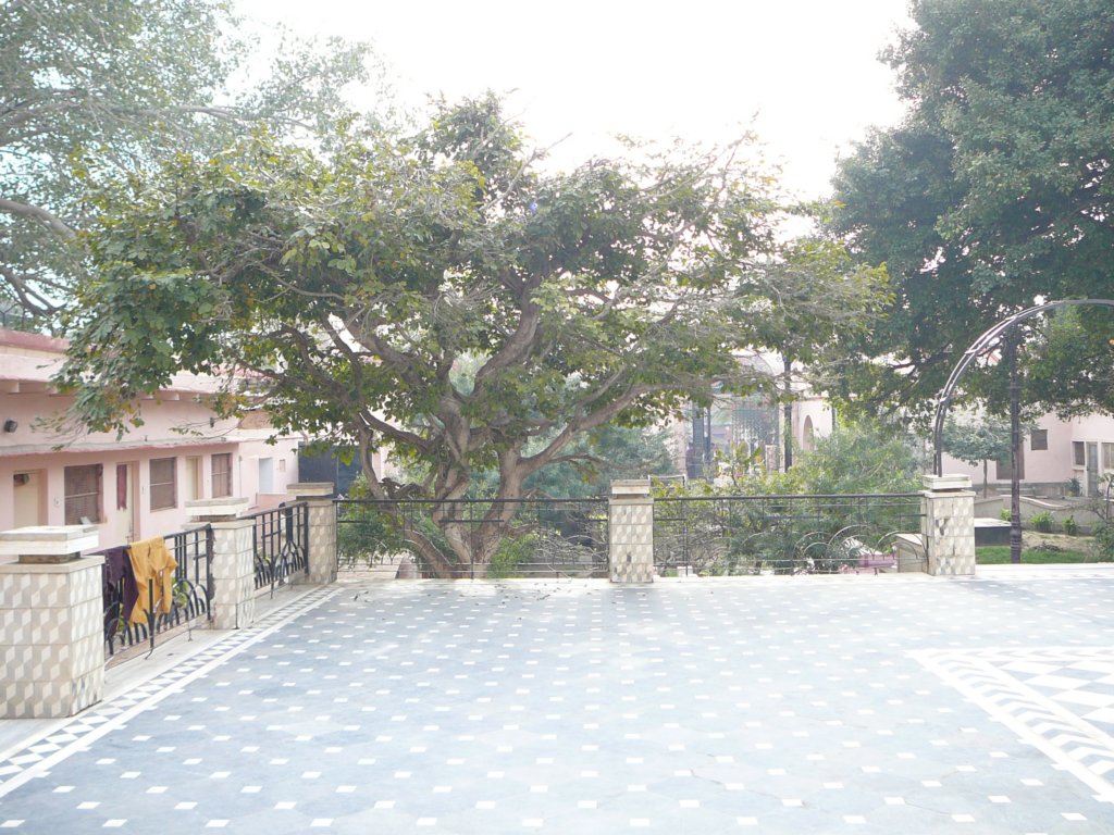 p1020030.jpg